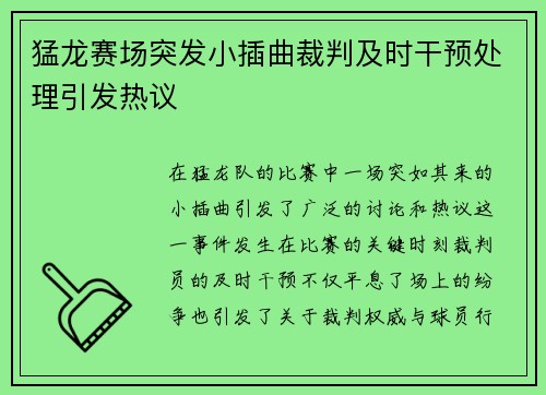 猛龙赛场突发小插曲裁判及时干预处理引发热议